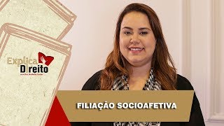 Explica Direito Filiação Socioafetiva  2019 [upl. by Haidabej]