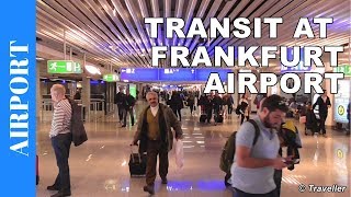 TRANSIT WALK AT FRANKFURT Airport FRA Terminal 1  Connection Flight Transfer Arriving amp Departing [upl. by Sivolc]